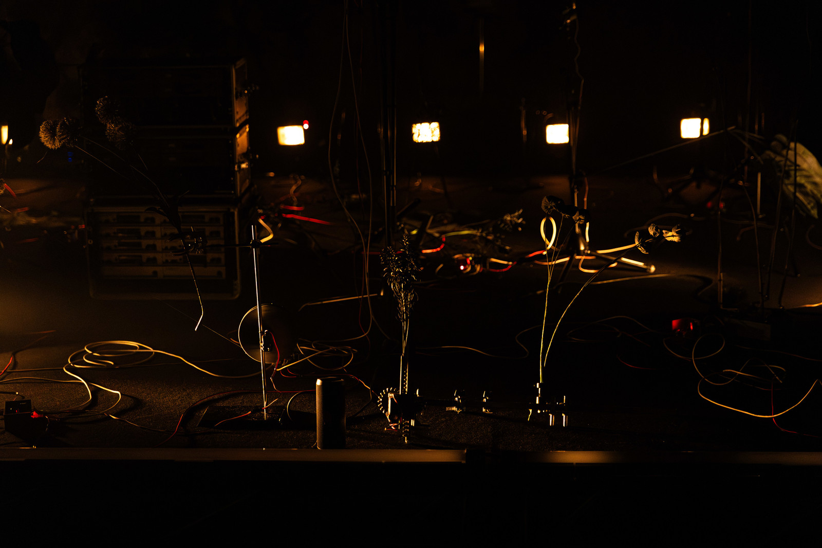 PHARMAKEIA <em>Photo: Dorian Silec Petek</em>