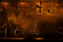 PHARMAKEIA <em>Photo: Dorian Silec Petek</em>