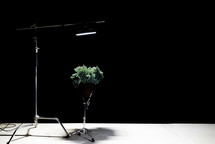 Karmina Šilec: DATA GARDEN