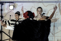 ŠEMA ELEKTRO <em>Photo: rudi uran</em>