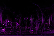 DATA GARDEN <em>Photo: Dorian Silec Petek</em>